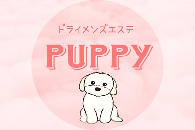 ドライメンエスPuppyさんの写真